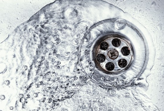 How to get rid of drain flies