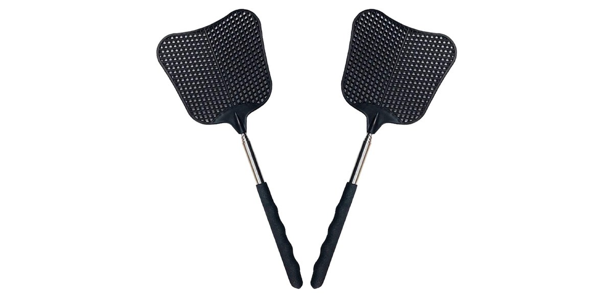 Foxany Telescopic Fly Swatters
