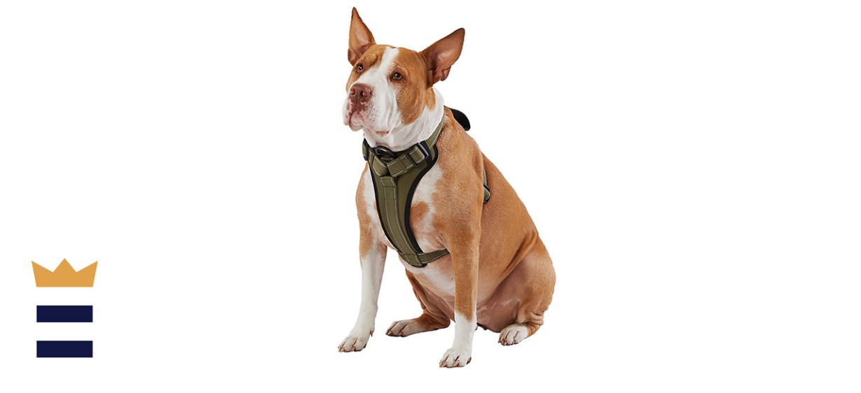 Kong Max Neoprene Reflective Harness