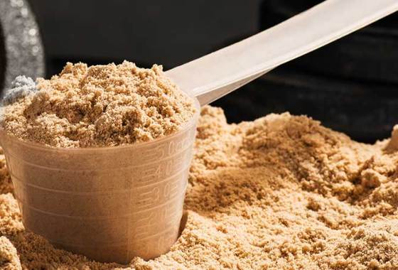 Best Whey Isolate Protein Powders