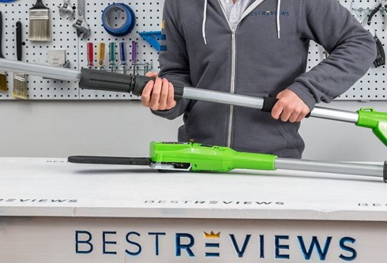 Best Greenworks Pole Saws