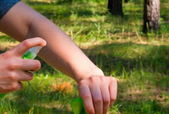 Best Insect Repellents