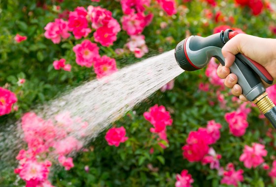 Best Garden Hoses