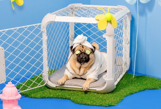 This dog crate doubles as a playpen and is perfect for travel