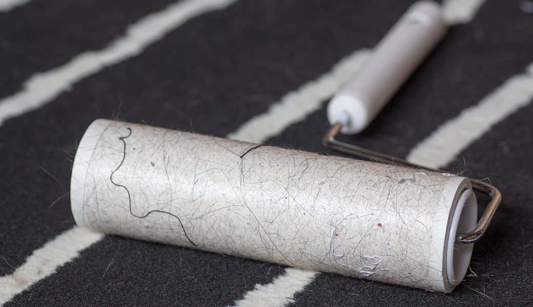 5 Best Lint Rollers Sept. 2021 BestReviews