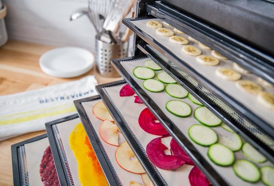 Freeze dryer vs. dehydrator: Which one is right for you?