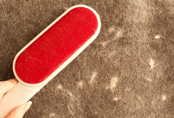 Best reusable lint roller