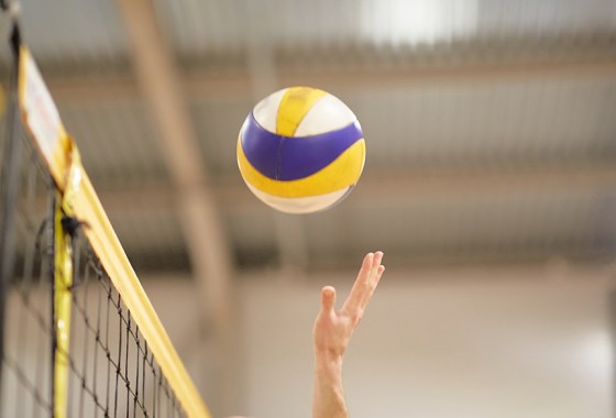 The best volleyball