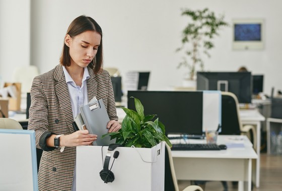 Best portable file box