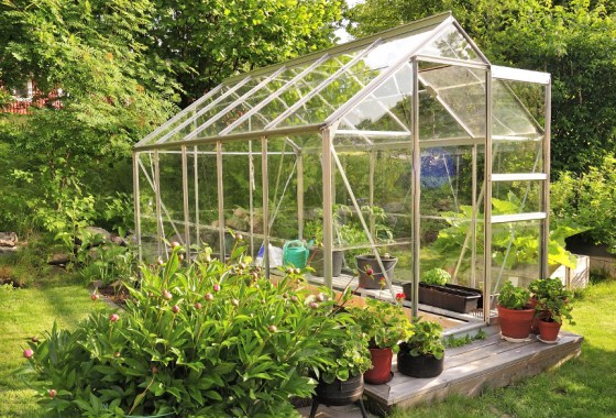 Which greenhouse is best for backyards?