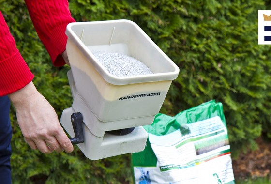 Best fertilizer for grass