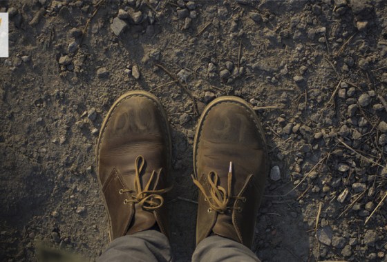 Clarks Bushacre vs. Desert Boots