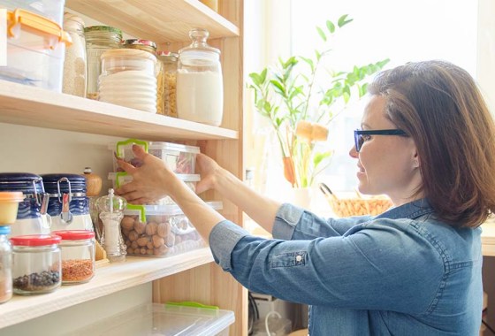 Best dry food storage container