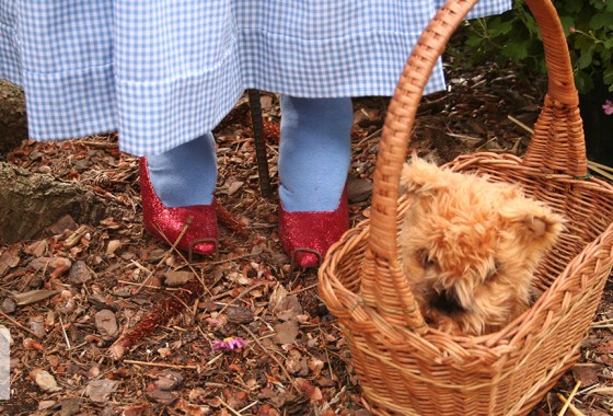 Best Dorothy costume for adults