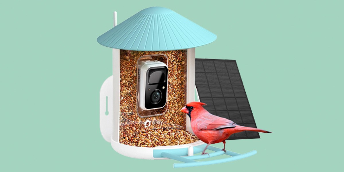 Netvue Birdfy Smart Bird Feeder