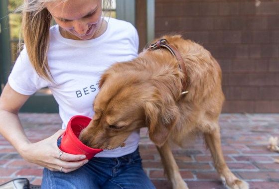 Best Diamond Naturals dog food