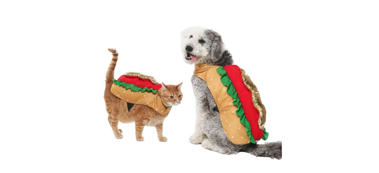 Dog and cat in Halloween hotdog costume