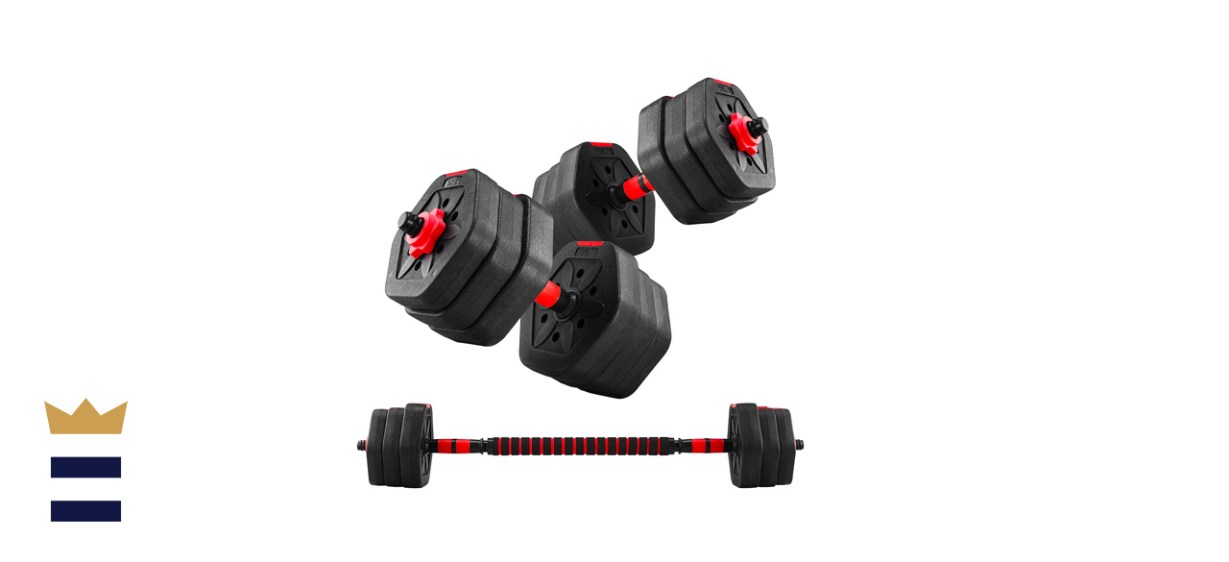 dumbbells and barbells