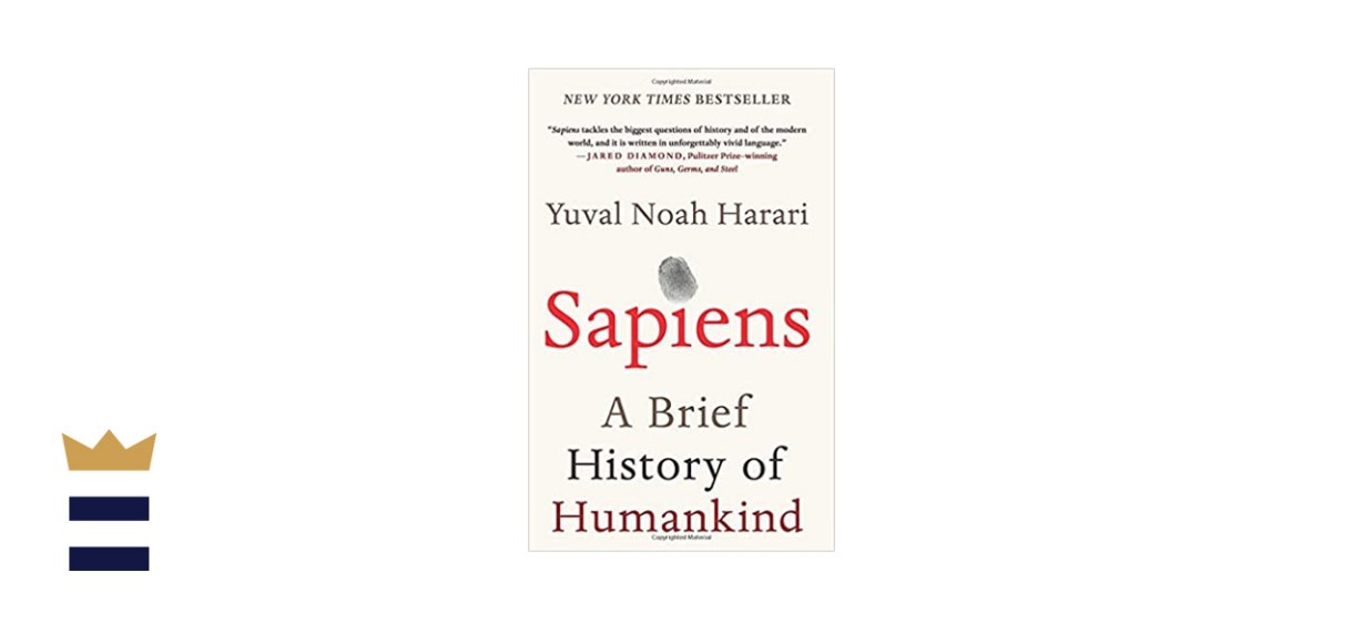 Sapiens: A Brief History of Humankind