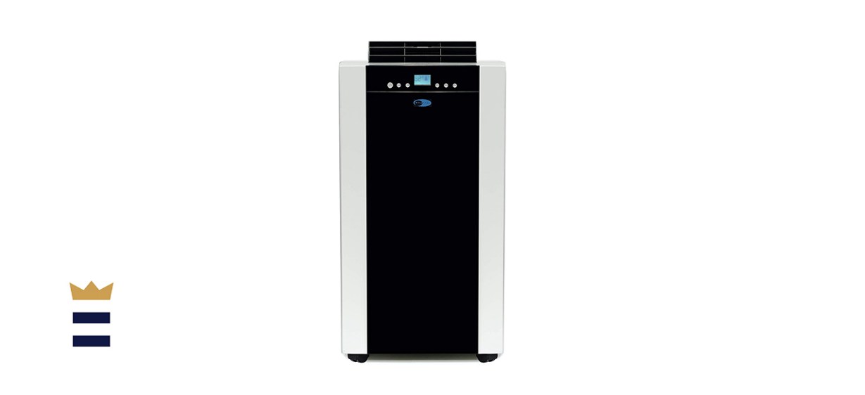 Whynter ARC-14S Dual-Hose Portable Air Conditioner