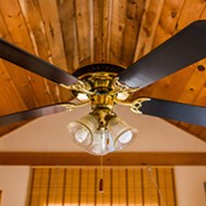 ceiling fan2