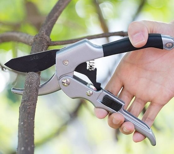 5 Best Pruning Shears - Nov. 2018 - BestReviews