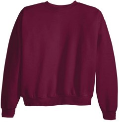 Hanes Ecosmart Fleece Sweatshirt