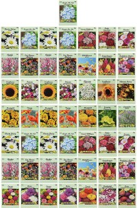Black Duck Brand Set of 50 Flower Seed Packets