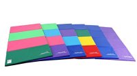 Tumbl Trak Gymnastics Folding Tumbling Panel Mat