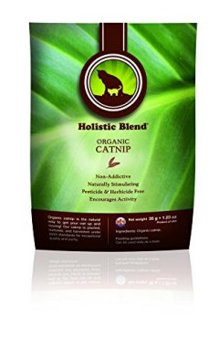 Holistic Blend Organic Catnip