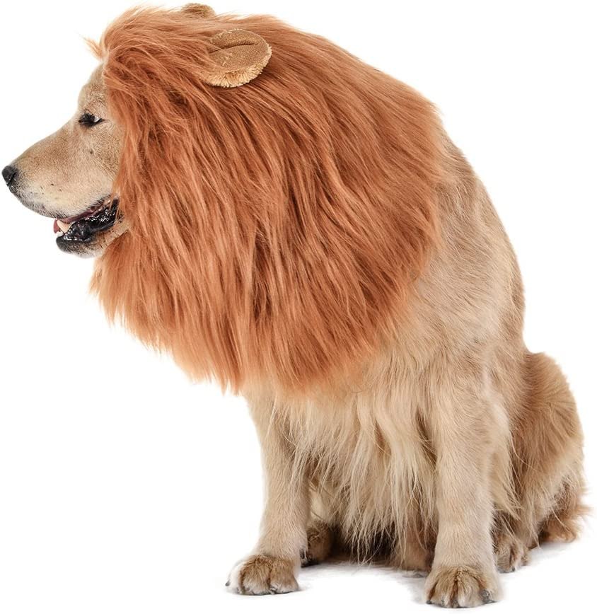 TOMSENN Lion Wig for Dogs