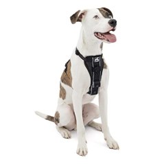 Kurgo Tru-Fit No Pull Dog Harness