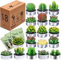 AiXiAng Cactus Candles