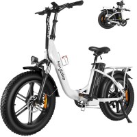 Heybike Ranger Electric Bike for Adults