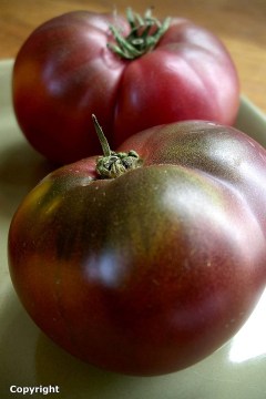 Ohio Heirloom Seeds Cherokee Purple Heirloom Tomato Seeds