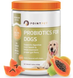 PointPet Probiotics for Dogs