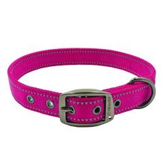 Max and Neo Dog Gear MAX Reflective Metal Buckle Dog Collar