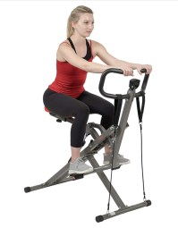 Sunny Health & Fitness Squat Assist Row-N-Ride Trainer