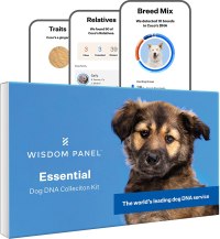 Wisdom Panel Essential Dog DNA Test